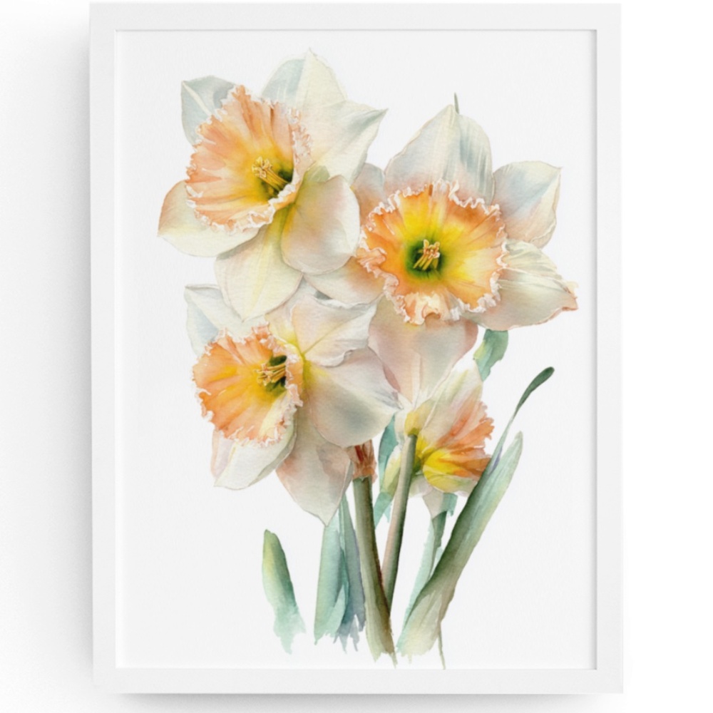 Watercolor Daffodils Flowers Wall Art Illustration Print Poster Unframed